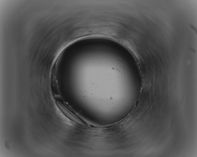 X0000093231532200710031449