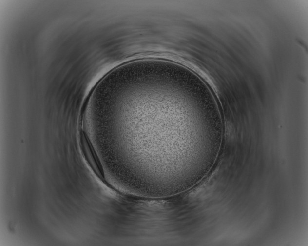 X0000093231533200710031449