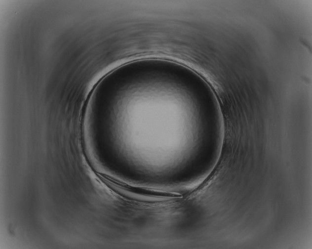 X0000093231534200710031449