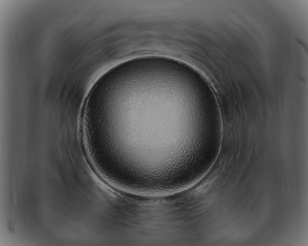 X0000093231535200710031449
