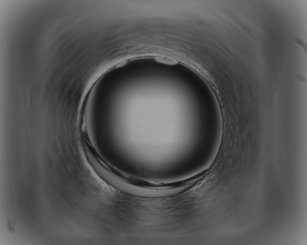 X0000093231536200710031449