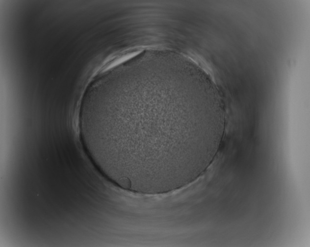 X0000093230002200710101412