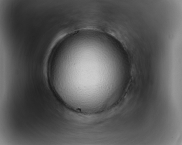 X0000093230006200710101412