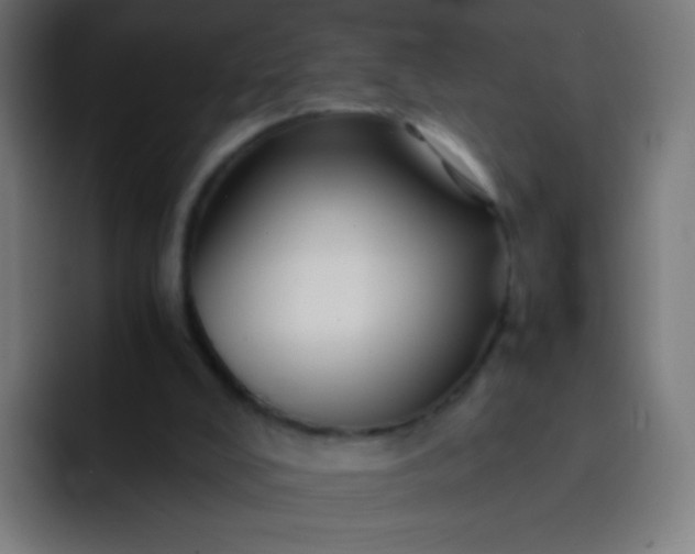 X0000093230008200710101412