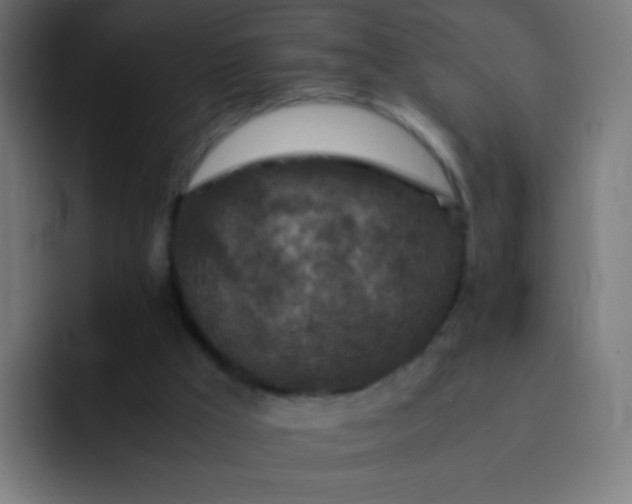 X0000093230009200710101412