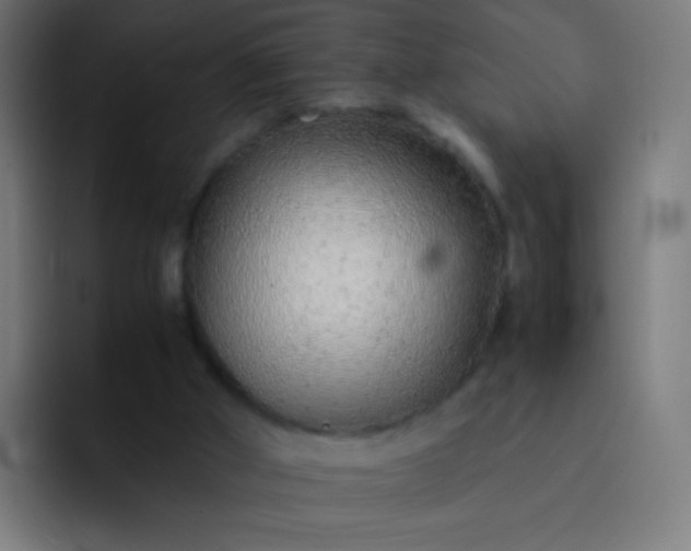 X0000093230010200710101412