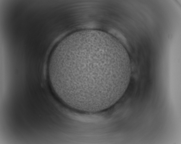 X0000093230012200710101412