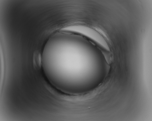 X0000093230013200710101412