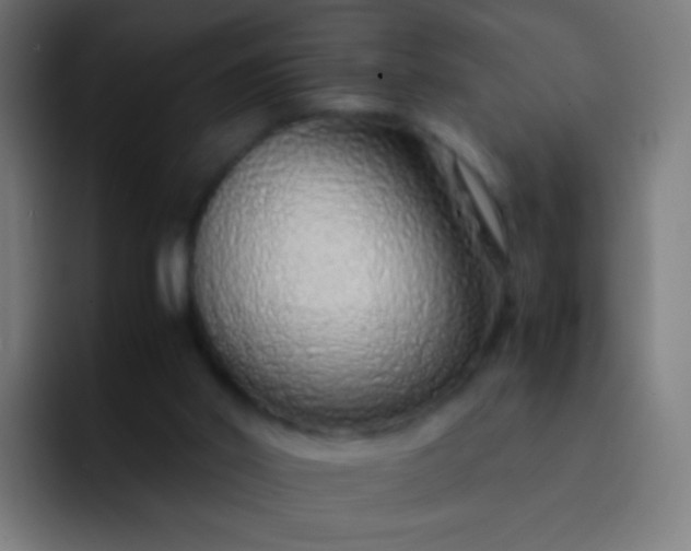 X0000093230014200710101412