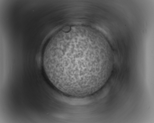 X0000093230016200710101412