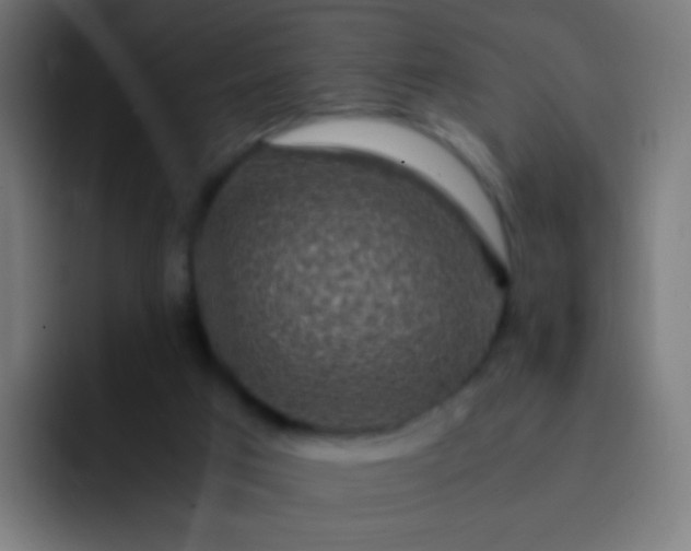 X0000093230017200710101412