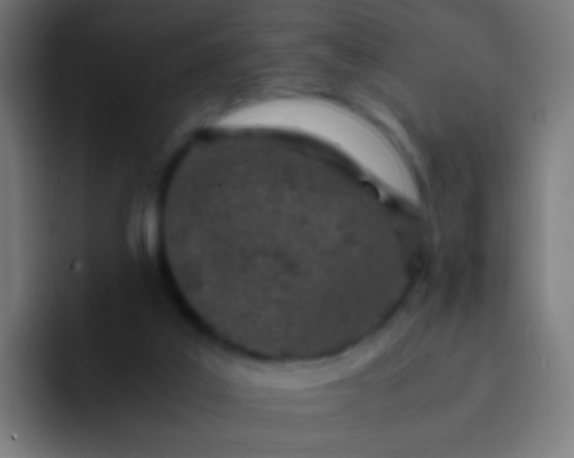 X0000093230019200710101412