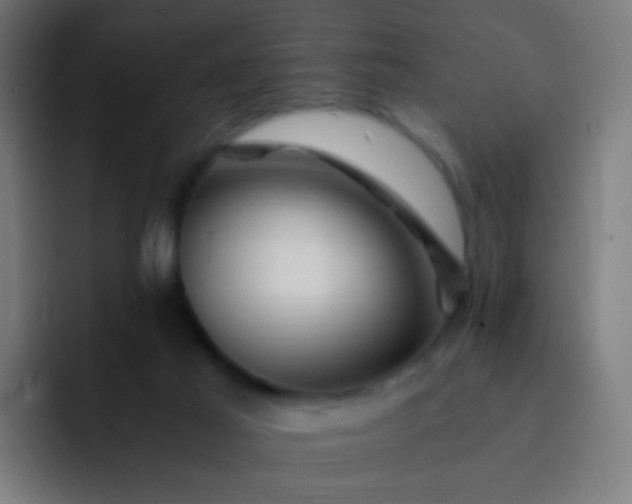 X0000093230021200710101412