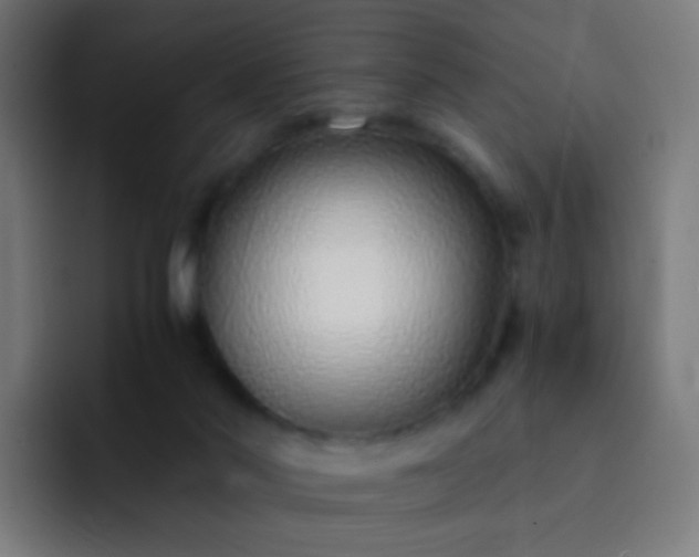 X0000093230022200710101412