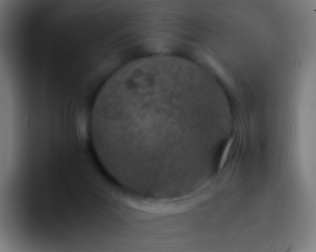 X0000093230023200710101412