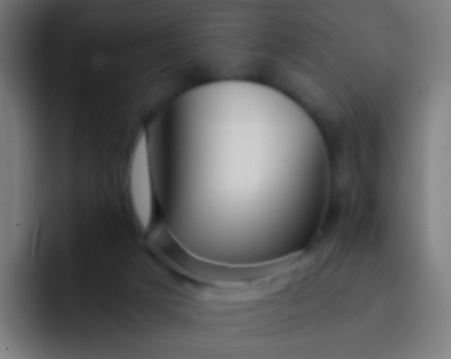 X0000093230025200710101412