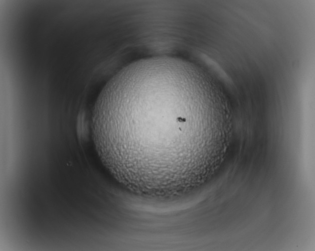 X0000093230026200710101412