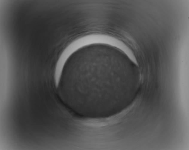 X0000093230029200710101412