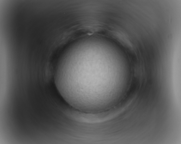 X0000093230030200710101412