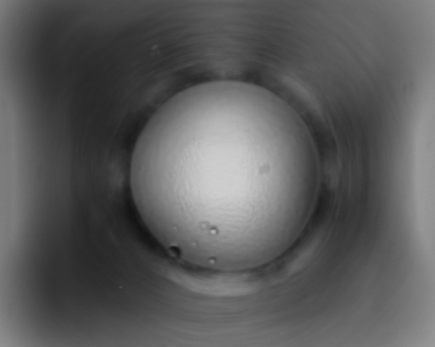 X0000093230032200710101412