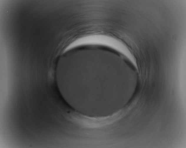 X0000093230035200710101412