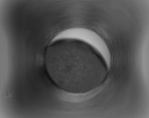 X0000093230039200710101412