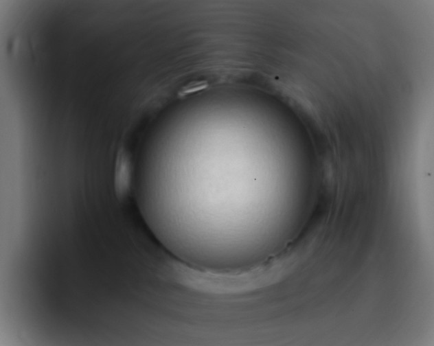 X0000093230042200710101412