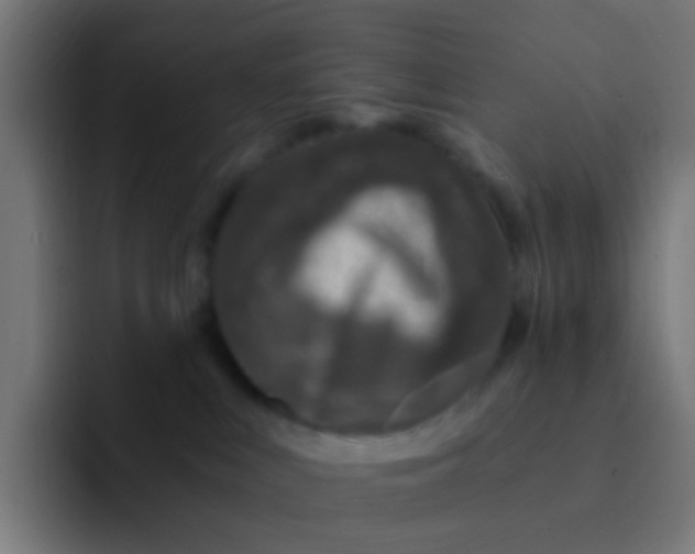 X0000093230043200710101412