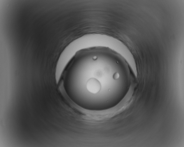 X0000093230045200710101412