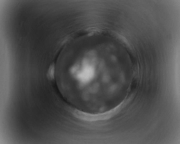 X0000093230047200710101412