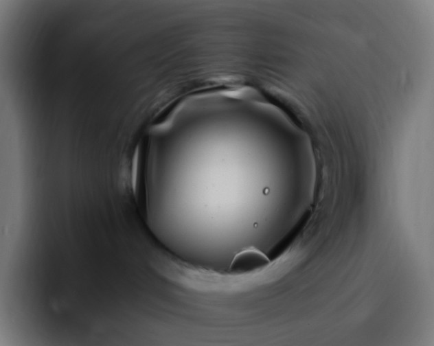 X0000093230048200710101412