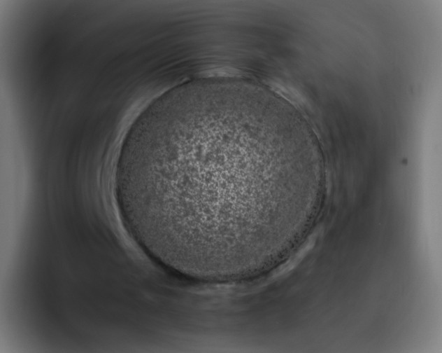 X0000093230049200710101411