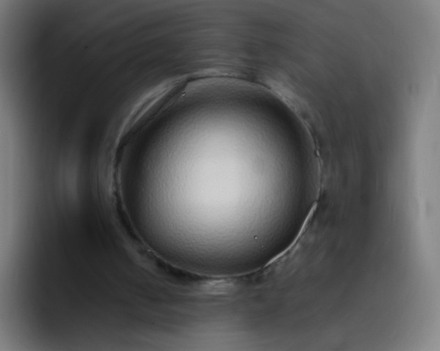 X0000093230050200710101411