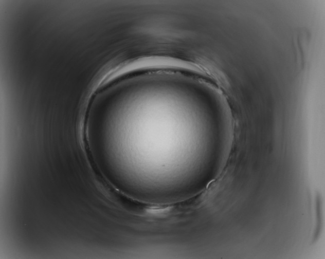 X0000093230051200710101411