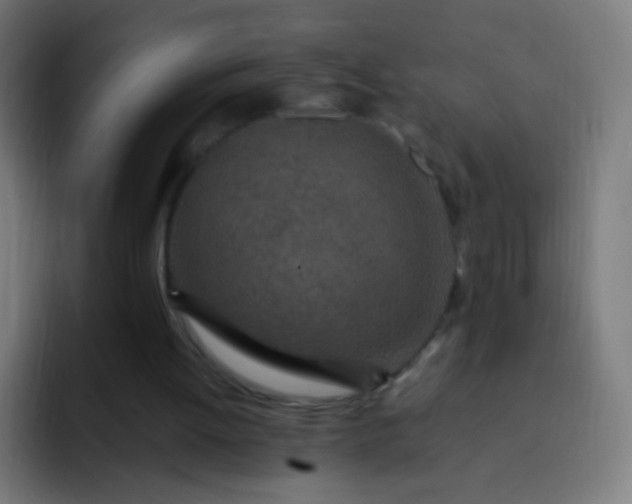 X0000093230052200710101411