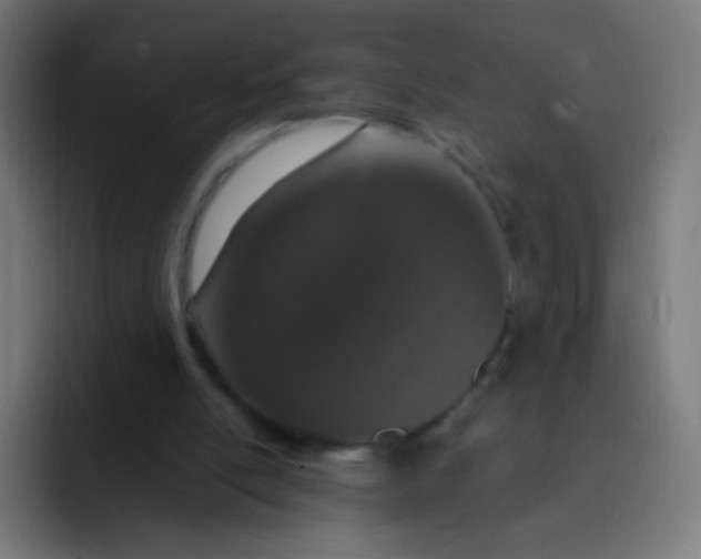 X0000093230054200710101411