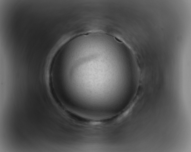 X0000093230055200710101411