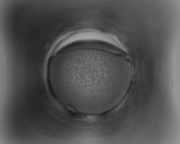 X0000093230056200710101411