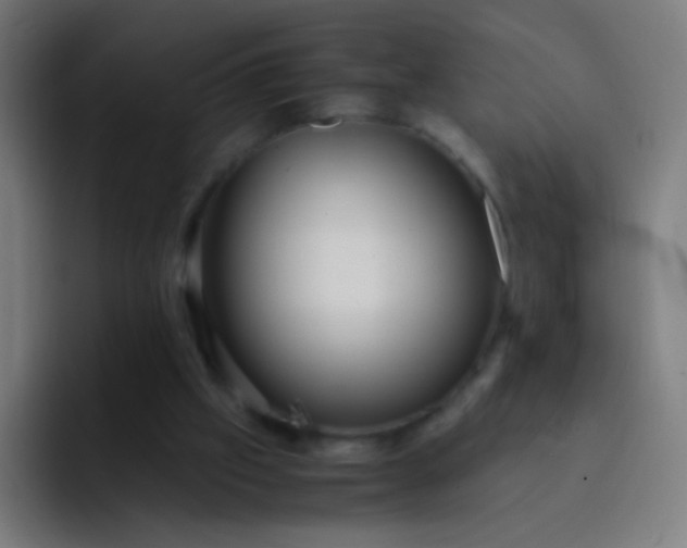 X0000093230057200710101411