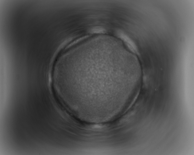 X0000093230059200710101411