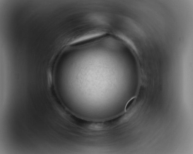 X0000093230061200710101411