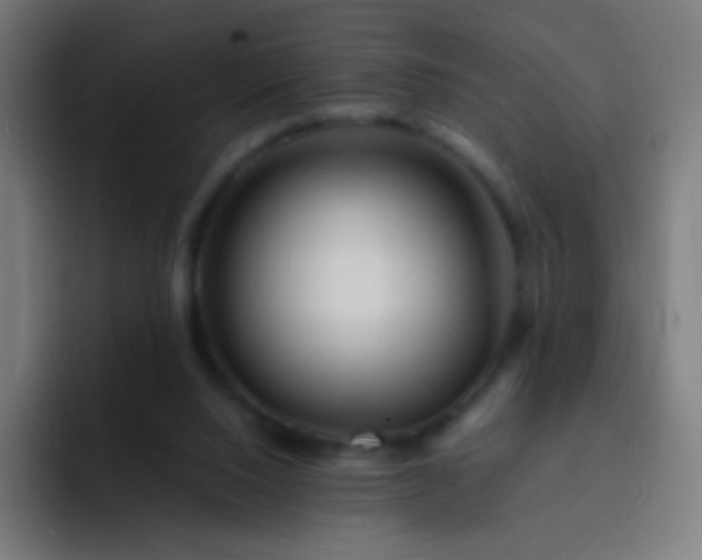 X0000093230064200710101411