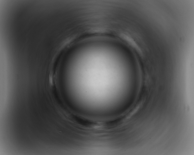 X0000093230068200710101411