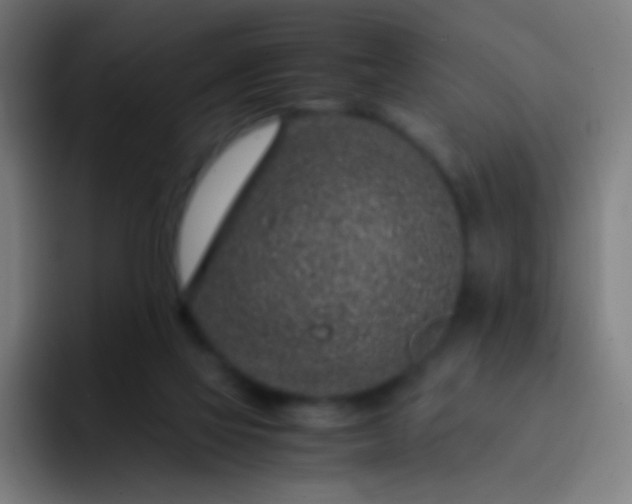 X0000093230069200710101411