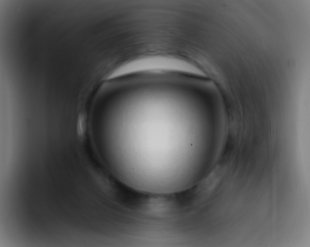 X0000093230070200710101411