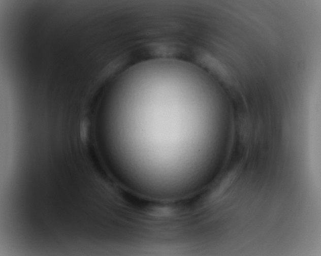 X0000093230071200710101411