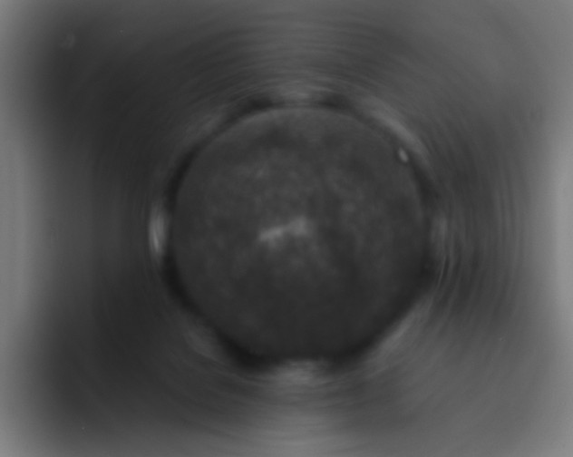 X0000093230076200710101411