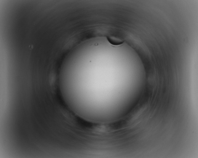 X0000093230079200710101411