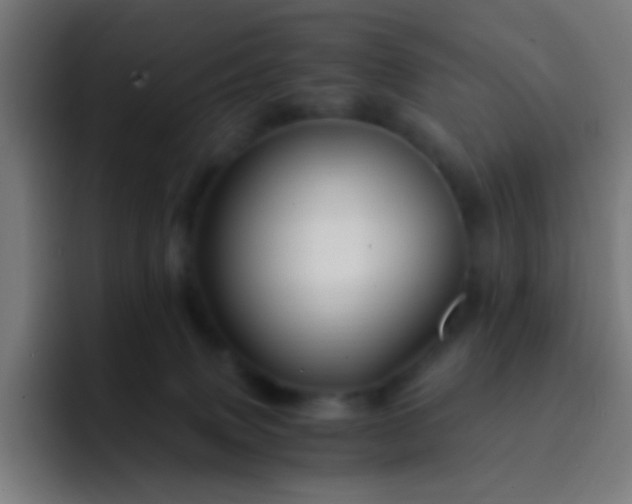 X0000093230083200710101411