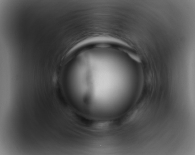 X0000093230084200710101411